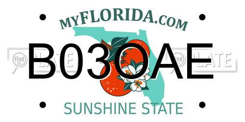 B03OAE Florida License Plate