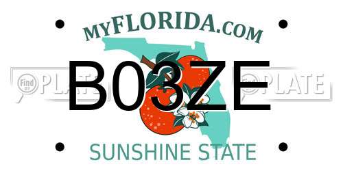 B03ZE Florida License Plate
