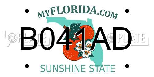 B041AD Florida License Plate