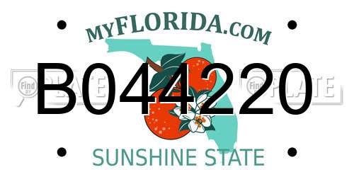 B044220 Florida License Plate