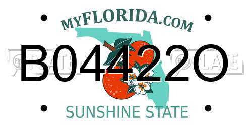 B04422O Florida License Plate