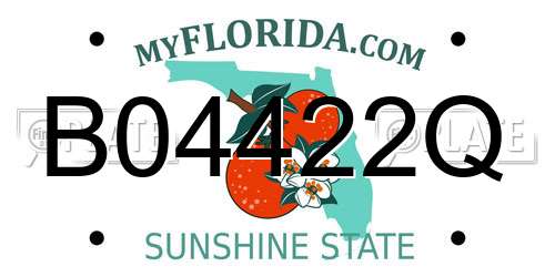 B04422Q Florida License Plate