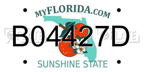 B04427D Florida License Plate