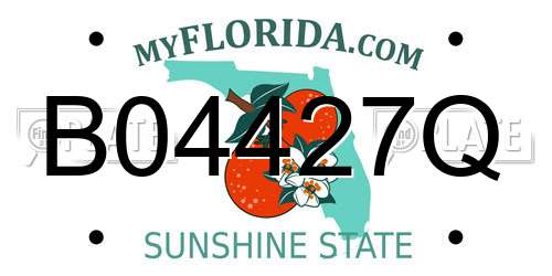 B04427Q Florida License Plate