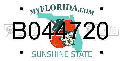 B044720 Florida License Plate