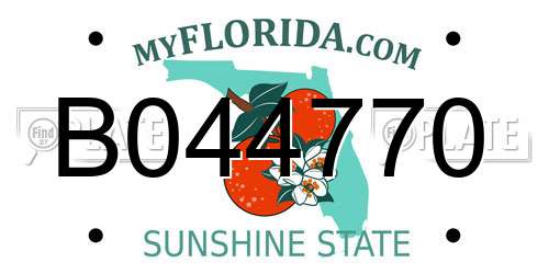 B044770 Florida License Plate
