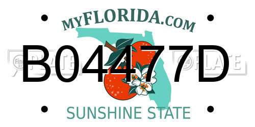 B04477D Florida License Plate
