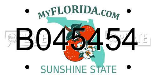 B045454 Florida License Plate