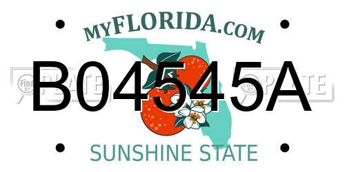 B04545A Florida License Plate