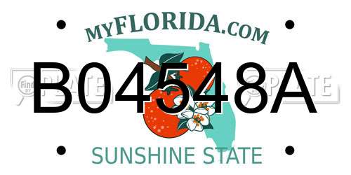 B04548A Florida License Plate