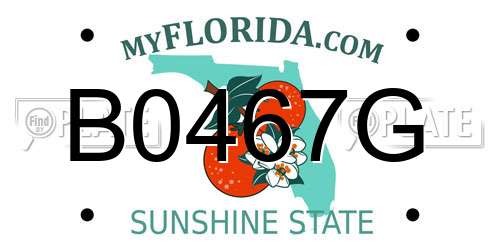 B0467G Florida License Plate