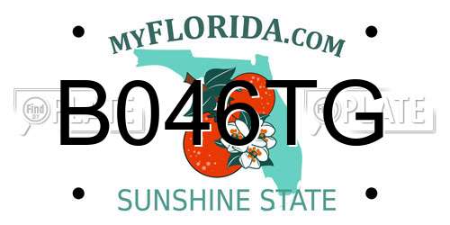 B046TG Florida License Plate