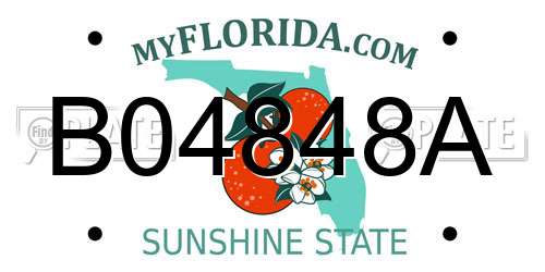 B04848A Florida License Plate