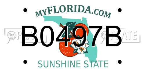 B0497B Florida License Plate