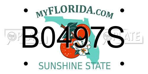 B0497S Florida License Plate