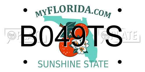 B049TS Florida License Plate