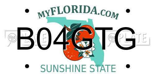 B04GTG Florida License Plate