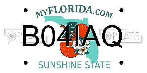 B04IAQ Florida License Plate