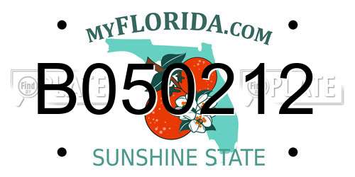 B050212 Florida License Plate