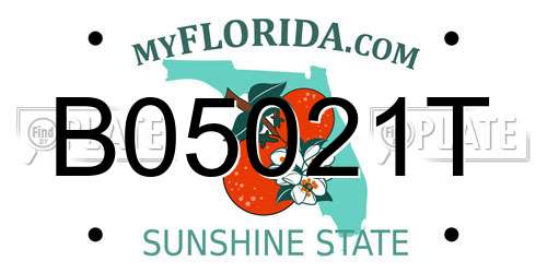 B05021T Florida License Plate