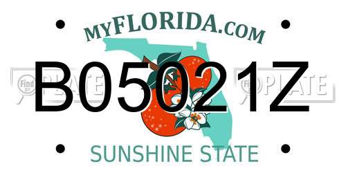B05021Z Florida License Plate