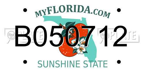B050712 Florida License Plate