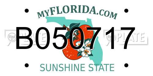 B050717 Florida License Plate