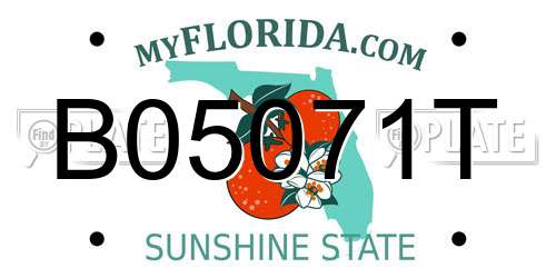 B05071T Florida License Plate