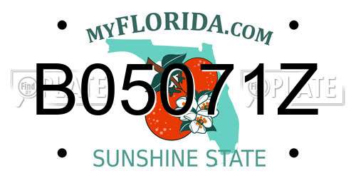 B05071Z Florida License Plate