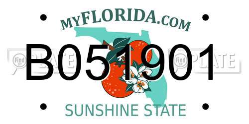 B051901 Florida License Plate