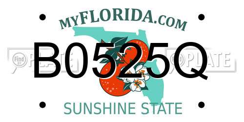 B0525Q Florida License Plate