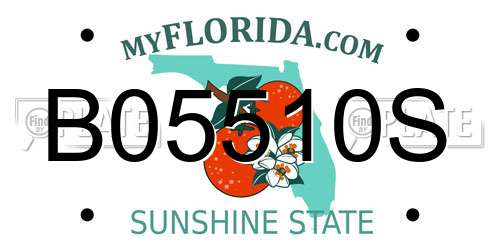 B05510S Florida License Plate