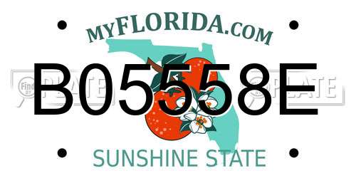 B05558E Florida License Plate
