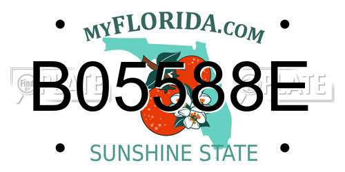 B05588E Florida License Plate