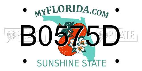 B0575D Florida License Plate