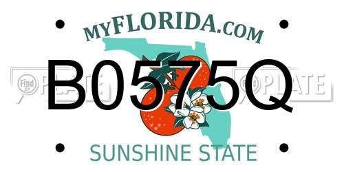 B0575Q Florida License Plate