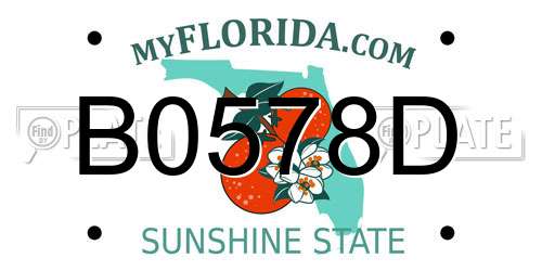 B0578D Florida License Plate