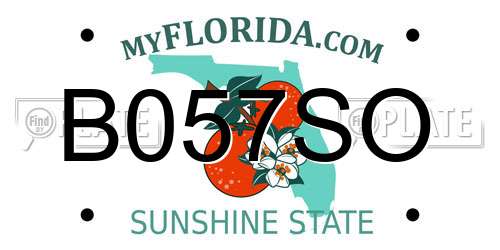 B057SO Florida License Plate