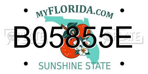 B05855E Florida License Plate
