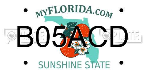 B05ACD Florida License Plate