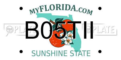 B05TII Florida License Plate