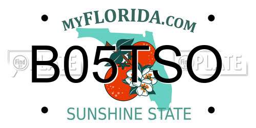 B05TSO Florida License Plate