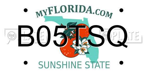 B05TSQ Florida License Plate