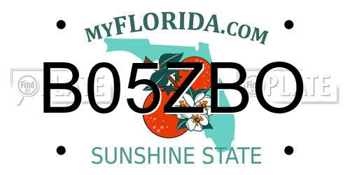 B05ZBO Florida License Plate