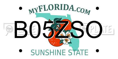 B05ZSO Florida License Plate