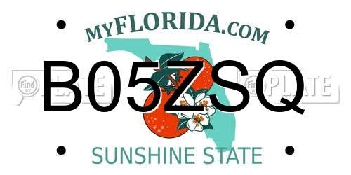 B05ZSQ Florida License Plate