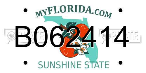 B062414 Florida License Plate