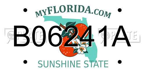 B06241A Florida License Plate