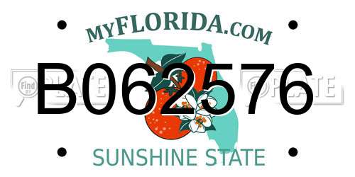 B062576 Florida License Plate