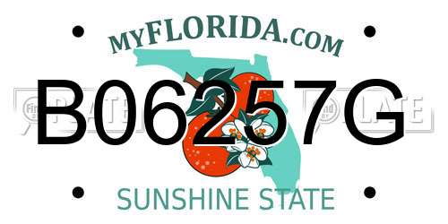 B06257G Florida License Plate